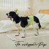 WICKEDPUP Male Dog Belly Band Kit, 50 Diaper Pads &