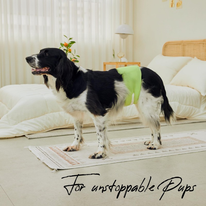 WICKEDPUP Male Dog Belly Band Kit, 50 Diaper Pads &