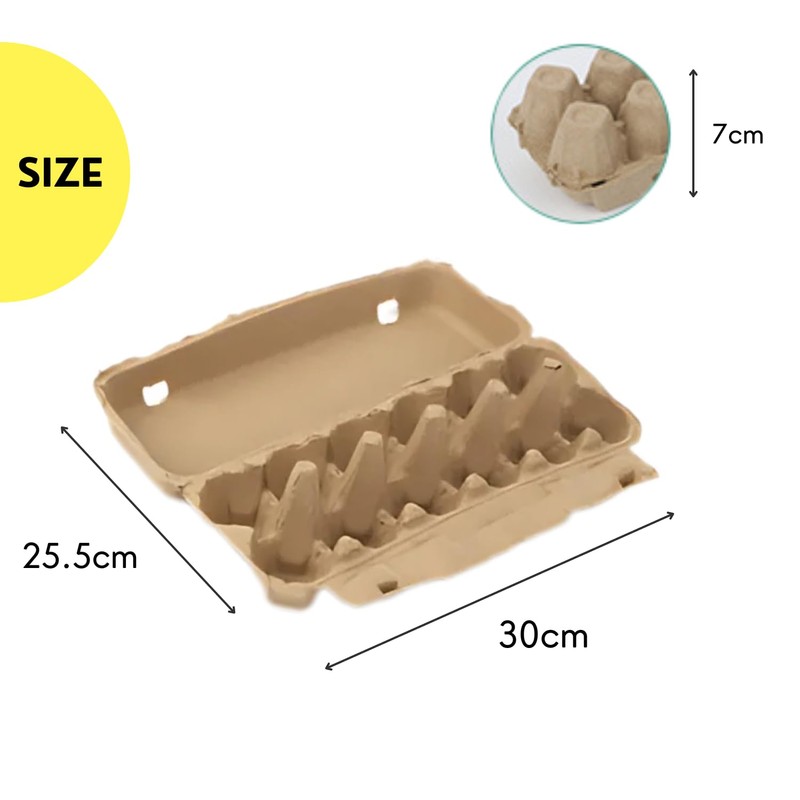Egg Case Egg Case with Lid Egg Container Refrigerator Storage