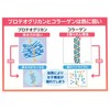 プラーゲン 生コラーゲン 生プロテオグリカン 国産 健康生活 美容 全身美容 乳酸菌 免疫力 健康力