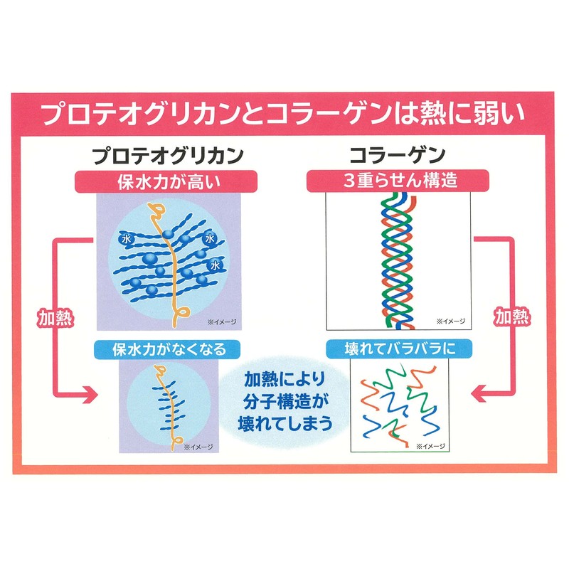 プラーゲン 生コラーゲン 生プロテオグリカン 国産 健康生活 美容 全身美容 乳酸菌 免疫力 健康力
