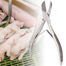 Qcwwy Piglet Teeth Cutter,Stainless Steel Tooth Cutter Scissor Pig Tooth Nipper Piglets Teeth Clipper Livestock Equipment for Dogs Piglets Rabbits (14cm)