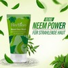 Herbion Naturals Purifying Neem Face Wash with Moringa Extracts and