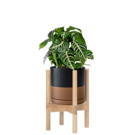 D'vine Dev Ceramic Planter with Natural Stand - 8 Inch Modern Round Flower Pot with Wood Planter Holder, Black/Speckled Tan, 55-B-N-7