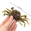 Pojedehy 10 Pcs Crab Bait, 3D Simulation Crab Soft Bait