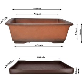 MUZHI Decorative Ceramic Bonsai Planter Pot 8.5 Inch with Tray, Breathable Unglazed Rectangle Terracotta Clay Pot for Tree Succulent Cactus Indoor Outdoor Red Brown