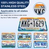 Artsy Ocean Waves License Plate Frame - Unobstructed Narrow-Edge 2