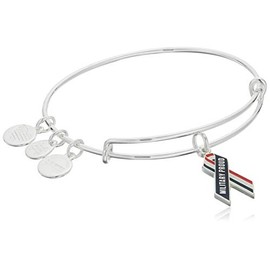Alex and Ani Womens Military Proud Bangle Bracelet, Shiny Silver, Expandable