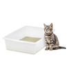 IRIS USA Large Open Top Cat Litter Box, Kitty Litter