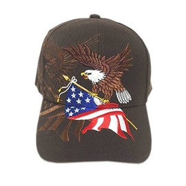aesthetinc Patriotic American Flag Design Baseball Cap USA 3D Embroidery (Brown)
