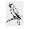 'Australian King Parrot' Temporary Tattoo - Water Resistant, Skin-Safe, Non-Toxic