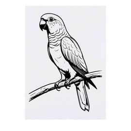 'Australian King Parrot' Temporary Tattoo - Water Resistant, Skin-Safe, Non-Toxic Transfer (TO00078177)