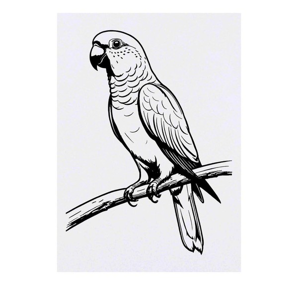 'Australian King Parrot' Temporary Tattoo - Water Resistant, Skin-Safe, Non-Toxic