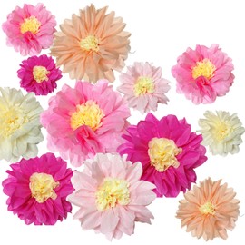 BRT Bearingshui Tissue Paper PomPoms Flower 22 Pcs Pink,Light Pink,Hot Pink,Ivory,Light peach Chrysanth Flower for Nursery Wall Birthday Bachelorette Wedding Baby Shower Bridal Shower Party Decoration