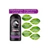 Shampoo Extracto Cola De Caballo + Acondicionador Argan-maca