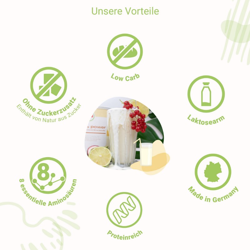 Strunz for you Power Protein Vanilla (1 x 750g)