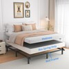 ROIL 10 Inch Queen Box Spring, Heavy Duty Metal Box