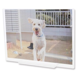 Nissen Polytech Acrylic Photo Frame, 2L Size, Clear