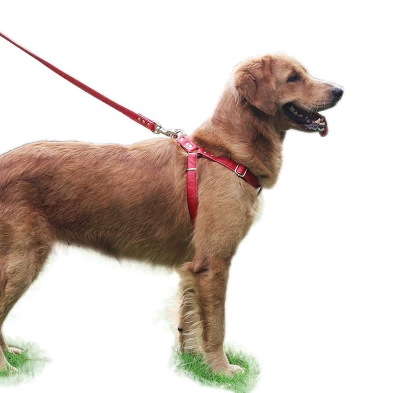 Dog Harness Leather Soft Harness Adjustable Chest Harnesses Norwegian Pet