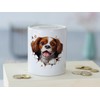 GRAZDesign Funny Dog Money Box - Wall Crack - Money