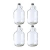 Fastrack 4-Pack 1 Gallon Glass Jug Set (128 oz) w/