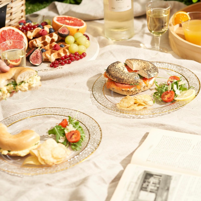 MATANA 40 Premium Clear Hard Plastic Dinner Plates with Hammered