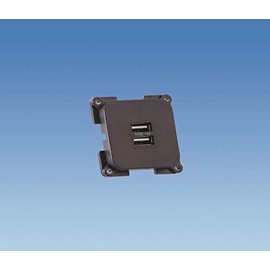 Powerpart C-line Twin USB Socket - PO268