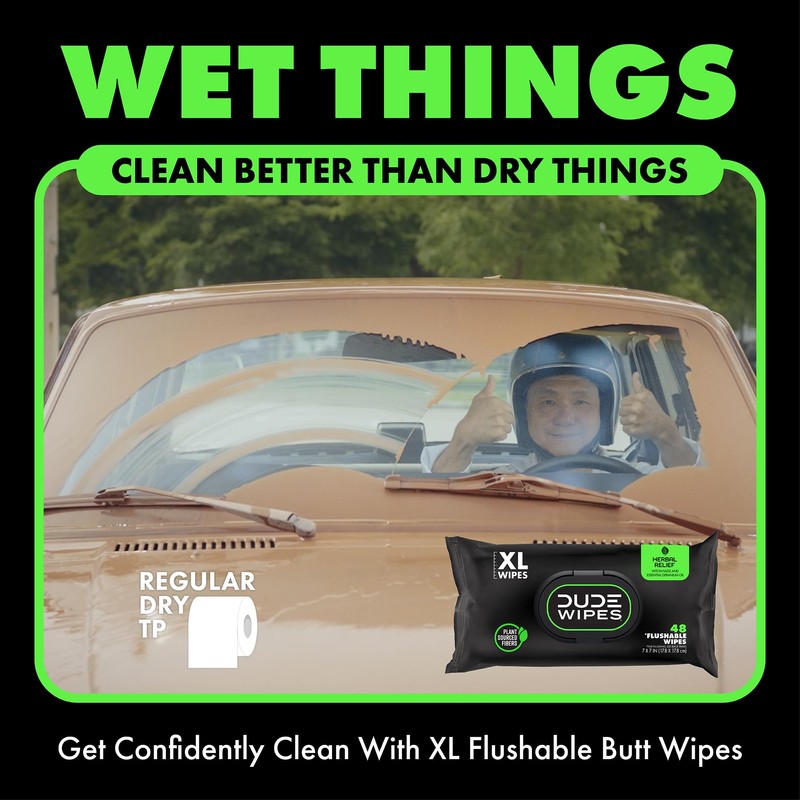 Dude Wipes - Flushable Wipes - 6 Pack, 288 Count
