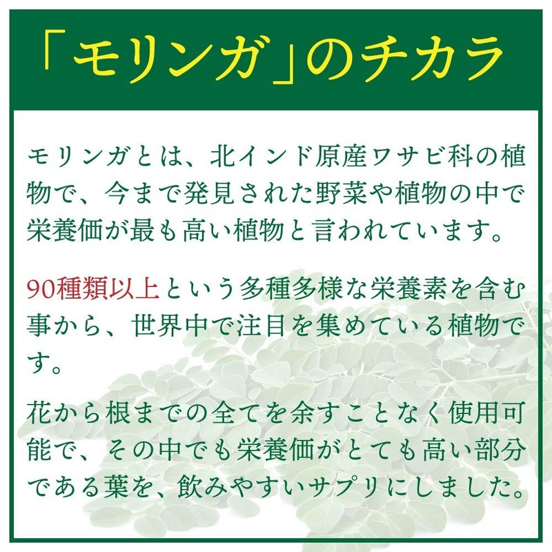 【リプサ公式】 モリンガ 約3か月分 C-123 サプリメント