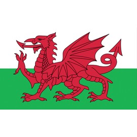 Wales Welsh Dragon Flag MASSIVE 8'x5' (2.4m long!)
