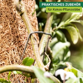 Windhager Pflanzenstecker für die Befestigung von Pflanzentrieben an Kokos-Pflanzstäben, 50 Stück, 06194