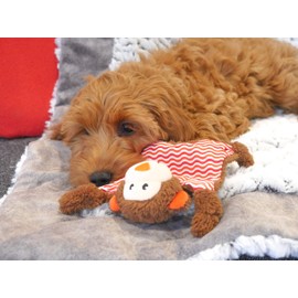 Rosewood LITTLE NIPPERS CHEEKY CHIMP,Brown,Small