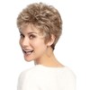 Golden Hair Wigs for Women, Fluffy Short Hair Temperament Oblique