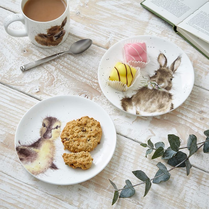 Wrendale Coupe Plates - Rabbit Duckling - Set of 2