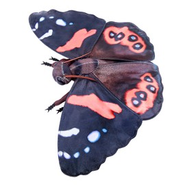 Tiny Heart Cambrian Monarch Butterfly Plush Toy, Soft Monarch Butterfly Plush Toy, Simulation Series Soft Cambrian Butterfly Plush Toy, Interactive Games of Insects Plush Toy Series, Orange/10.6