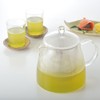HARIO Pure Leaf Tea Pot