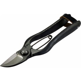 The Shire, Squash Cutting Scissor 200 mm
