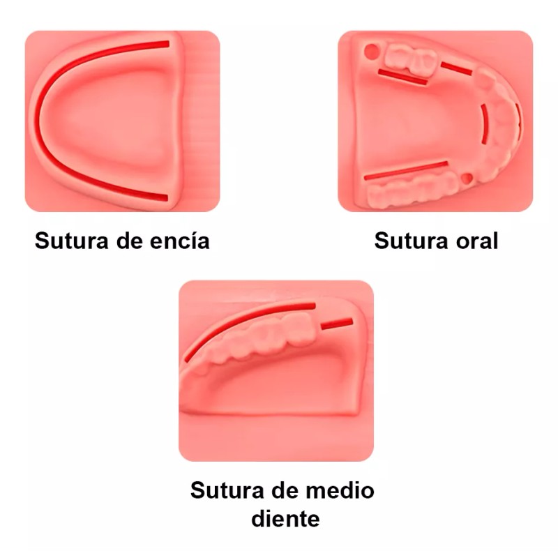 Kingden Pad Sutura Bucal Silicón Boca Odontología Oral Suturar N5002