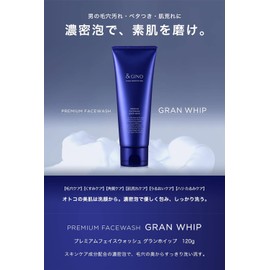   GINO Men's Facial Cleansing Foam, Premium Face Wash, Gran Whip, 4.2 oz (120 g), Pores, Sticky, Rough Skin
