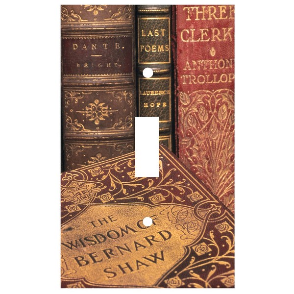 Art Plates - Single Gang Toggle OVERSIZE Switch Plate/OVER SIZE