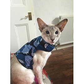 Mynwood Cat Jacket/Harness Blue Combat Kitten up to 8month