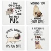 LARTSFRO Pug Dog Swedish Dishcloths for Kitchen, Papaya Reusable Paper