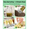 Pawfly Sprouting Kit, Wide Mouth 32 Oz (1000 mL) Mason