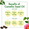 Oshima Tsubaki Camellia seed Oil - 100% Pure and Natural,