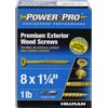 Power Pro 48594 Premium Outdoor Wood and Deck Screws Rust