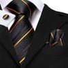 Hi-Tie 63" 70" Ties for Men Silk Extra Long Mens