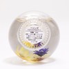 Belinda Nail Oil Cuticle Oil Slightly Sweet Milk Tea Scent