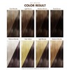 Adore Semi Permanent Hair Color (107 Mocha) | Vegan &