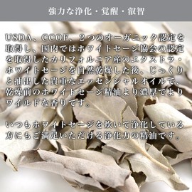 White Sage (Dry) Essential Oil / Aroma Oil, 0.2 fl oz (5 ml), 100% Natural Ingredients LUCAS Lucas