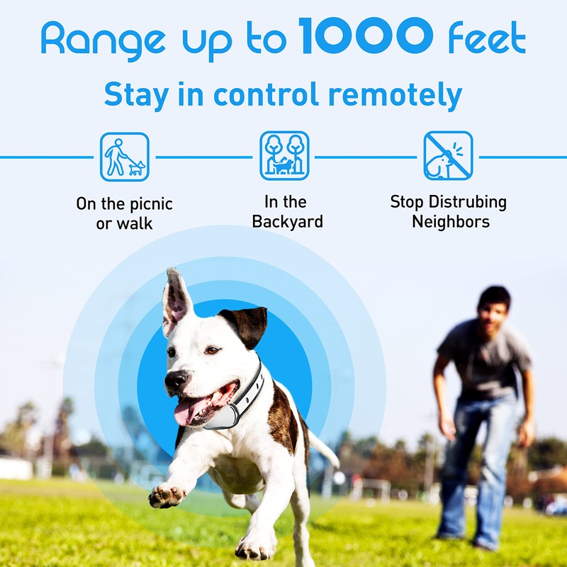 Extra Small Size Dog Training Collar with Remote for Small